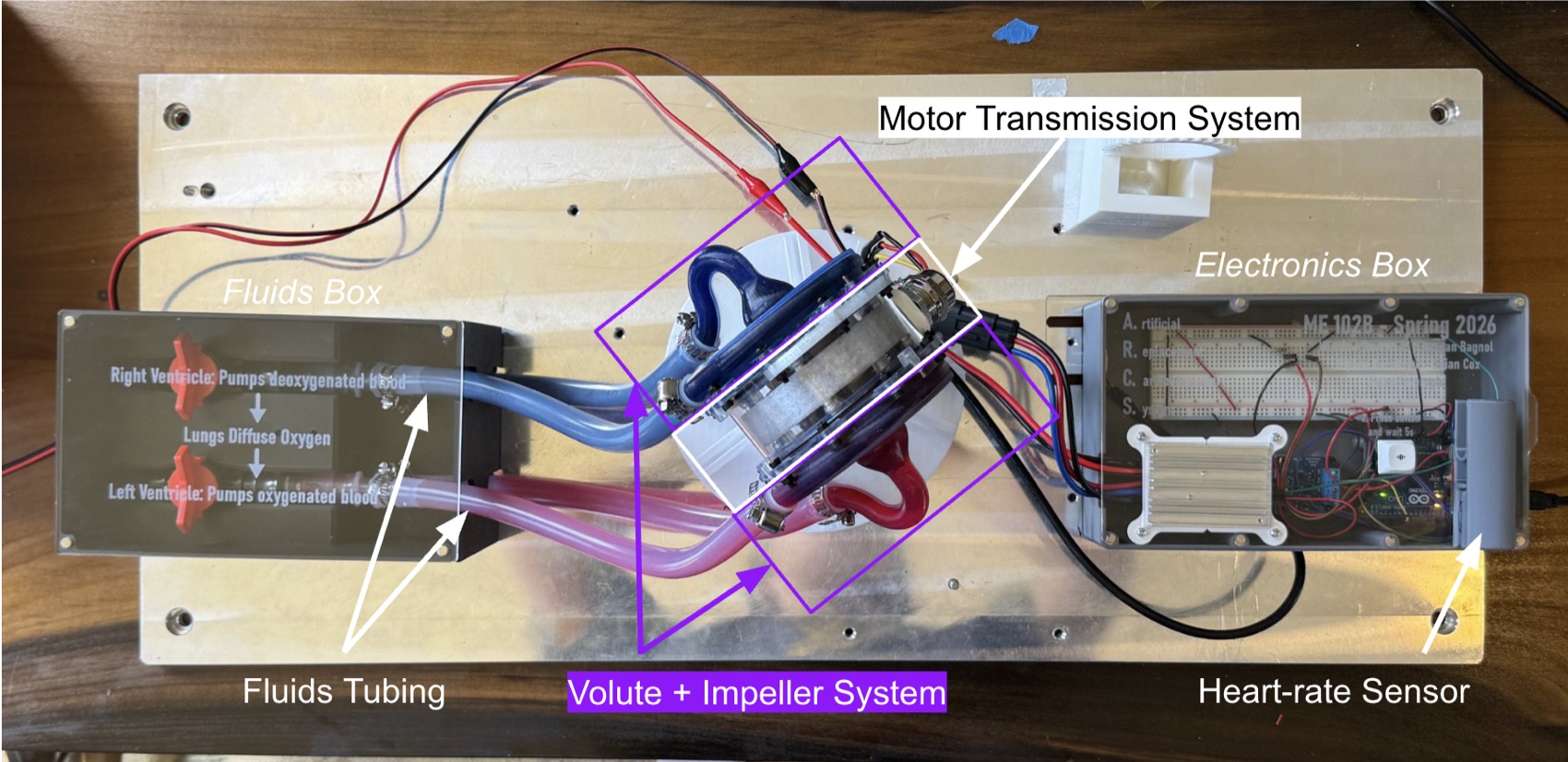 Annotated full ARCS assembly showing fluids box, volute and impeller system, motor transmission and electronics box